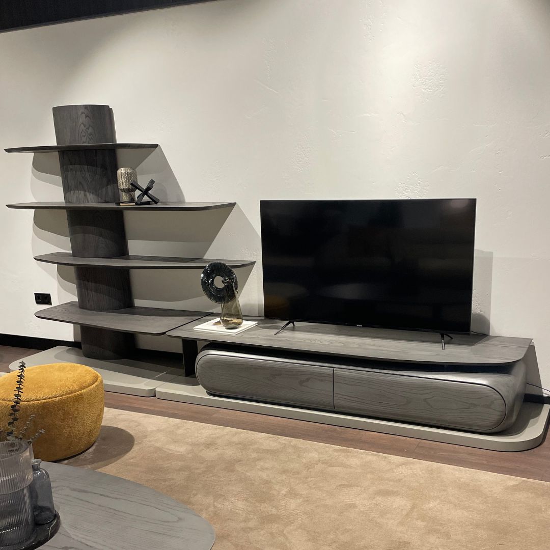 ТV секция Moon