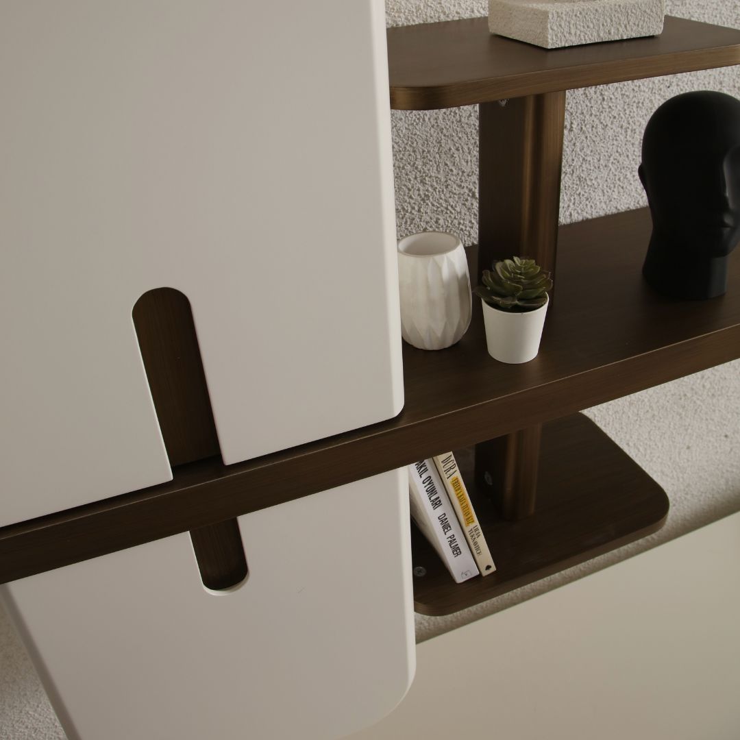 ТВ модул Molivo