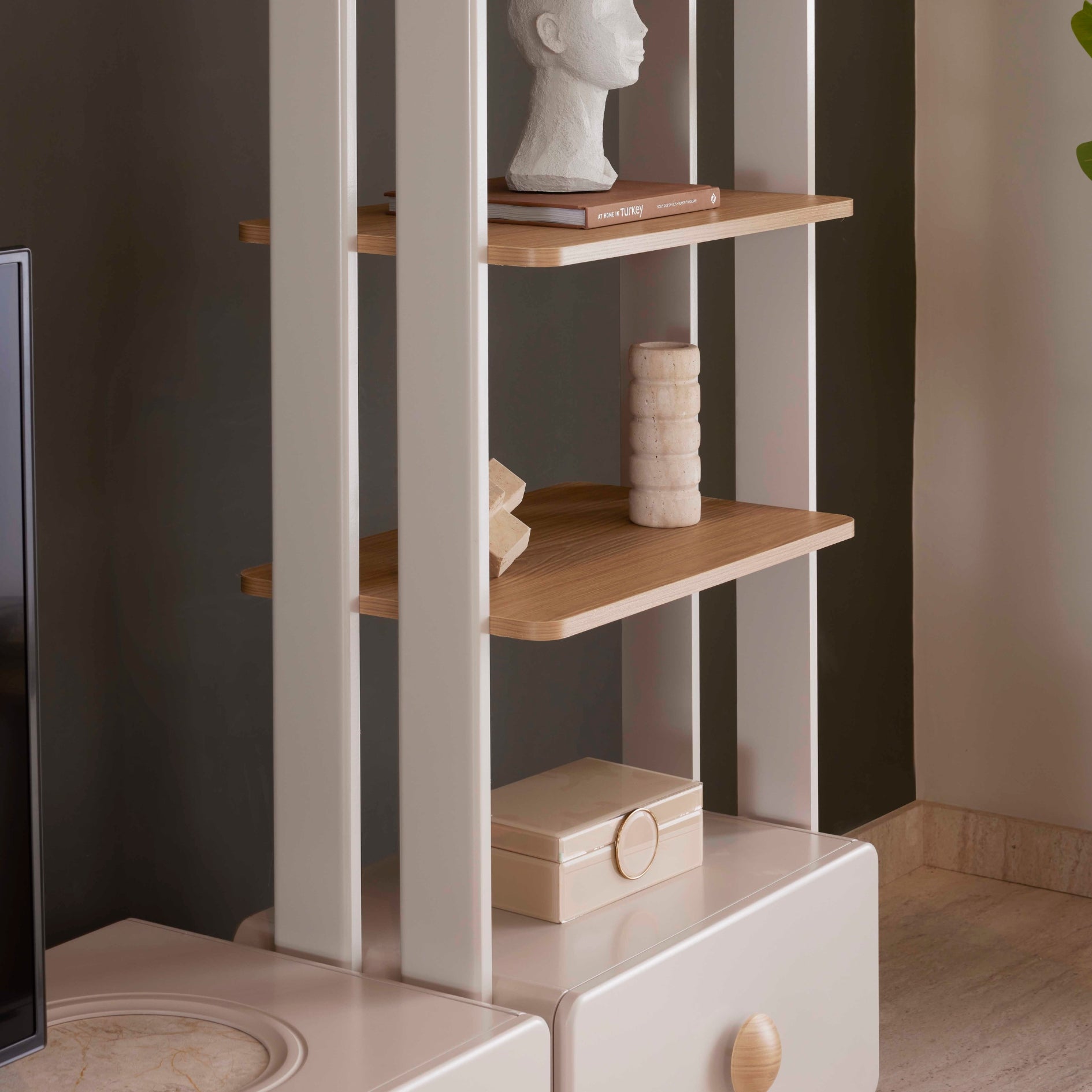 ТВ секция Roma